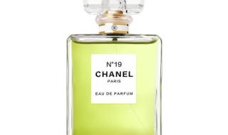 香奈儿19号 香奈儿19号