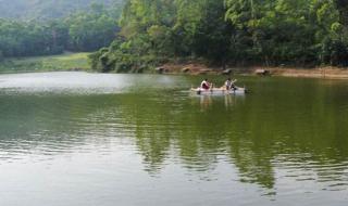 凤冈九龙生态园多少门票 深圳九龙生态园