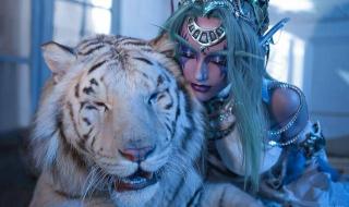 wow实力检测 wow实力检测