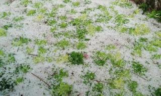 正月打雷下冰雹 正月打雷下冰雹