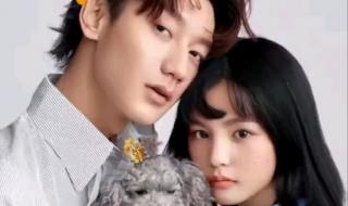 秦爷的小哑巴网络剧 秦爷的小哑巴网络剧