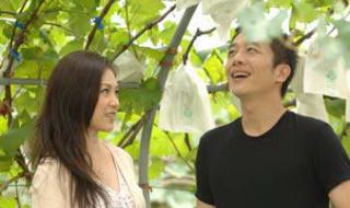 真情满天下大结局