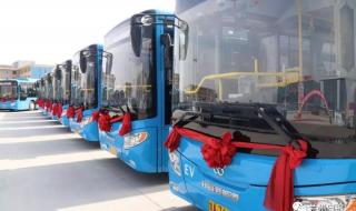 坐公交车20公里需要多少时间 15岁少年坐公交旅行