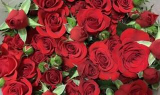 30朵玫瑰花语 30朵玫瑰花语