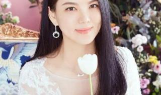 湖南卫视第一主持人 湖南卫视节目主持人