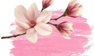 木兰诗原文带正确拼音 木兰诗原文带正确拼音