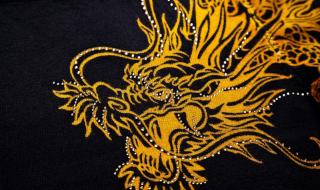 御龙在天马装砸星 御龙在天马装砸星