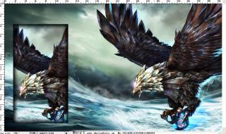 联盟之喙艾尼维亚 联盟之喙艾尼维亚