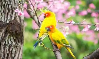 六九天是什么意思呢